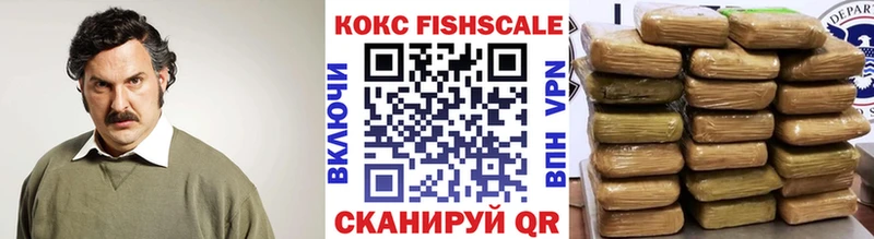 Кокаин FishScale  MEGA зеркало  Верея 