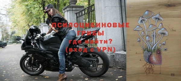 герыч Бородино