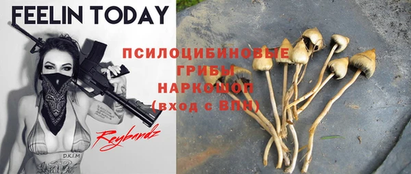 герыч Бородино
