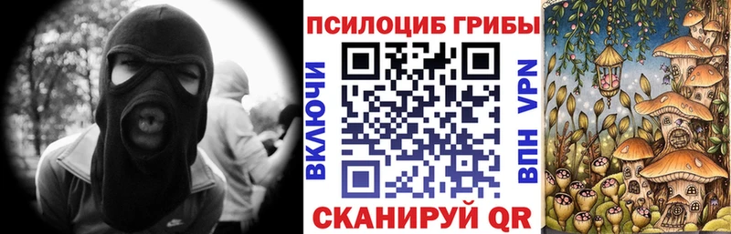 Галлюциногенные грибы Psilocybine cubensis  наркота  Верея 